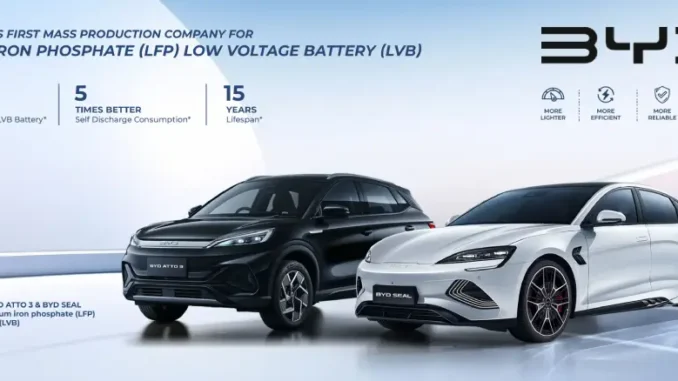 How BYD Became the World's Largest EV Manufacturer
