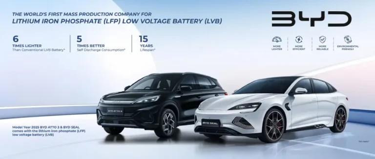 How BYD Became the World's Largest EV Manufacturer